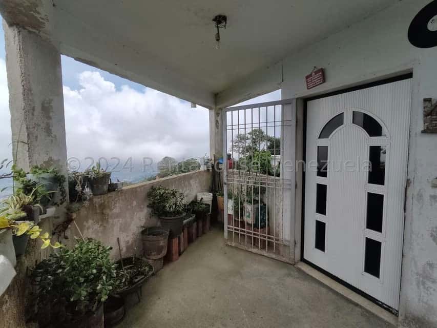 Vista 10