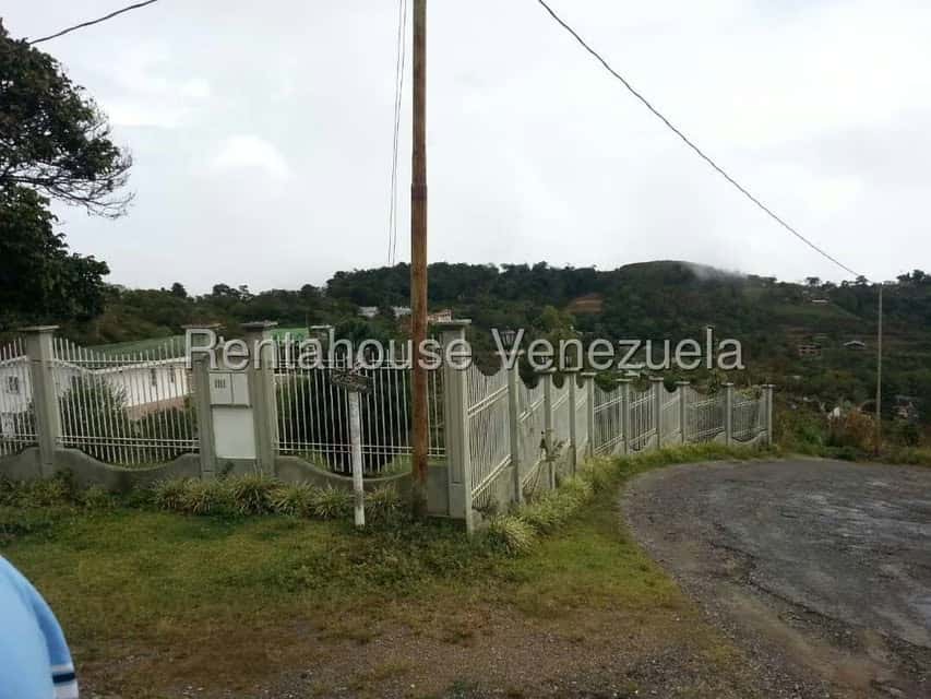 Vista 3