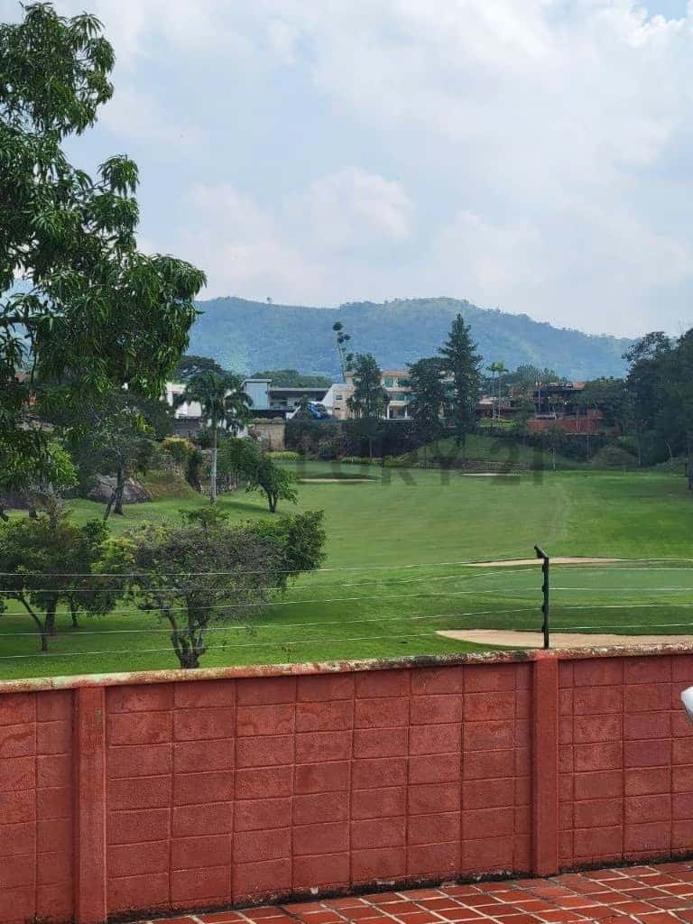View 6