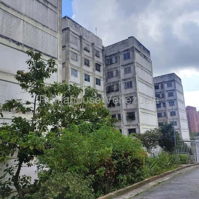 Vista 1