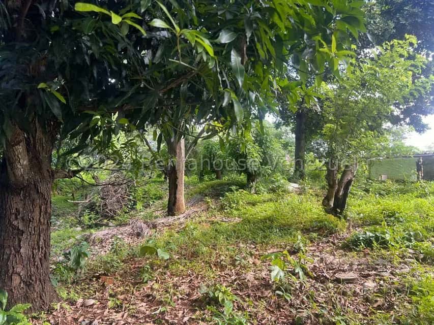 View 29