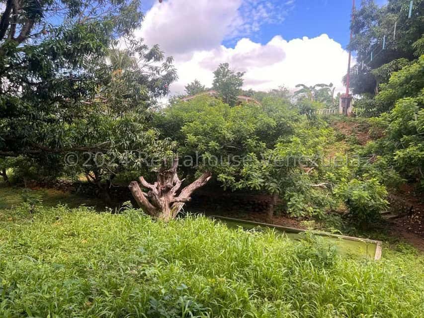 View 33