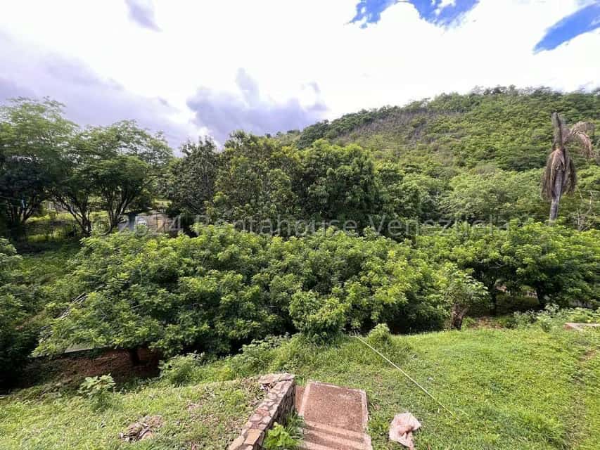View 37
