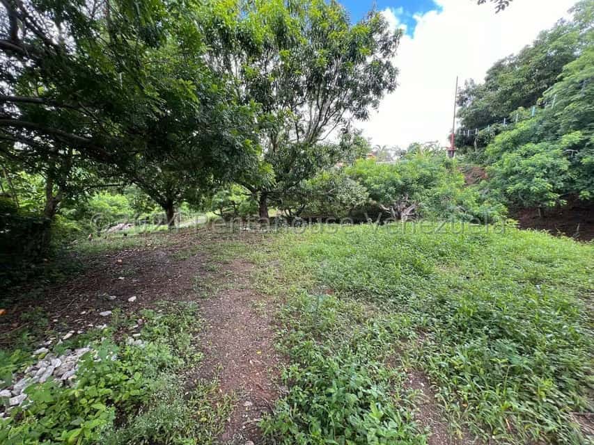 View 55