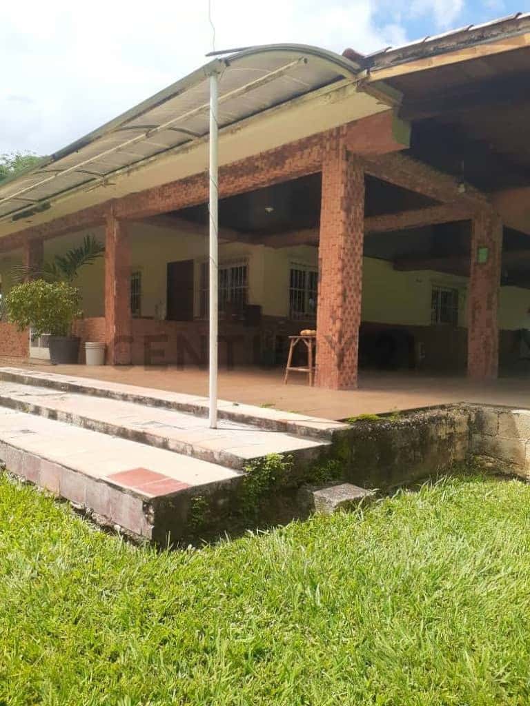 Vista 1