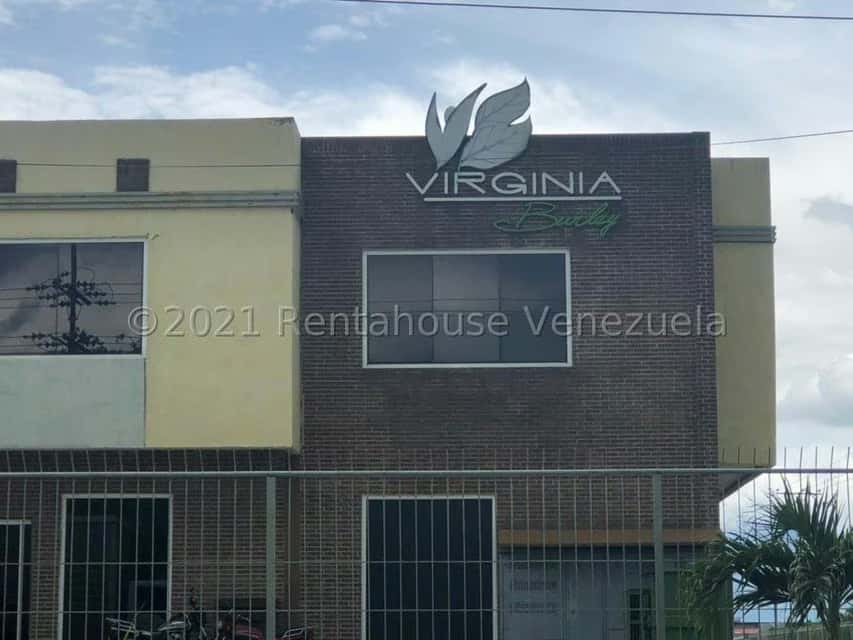 Vista 24