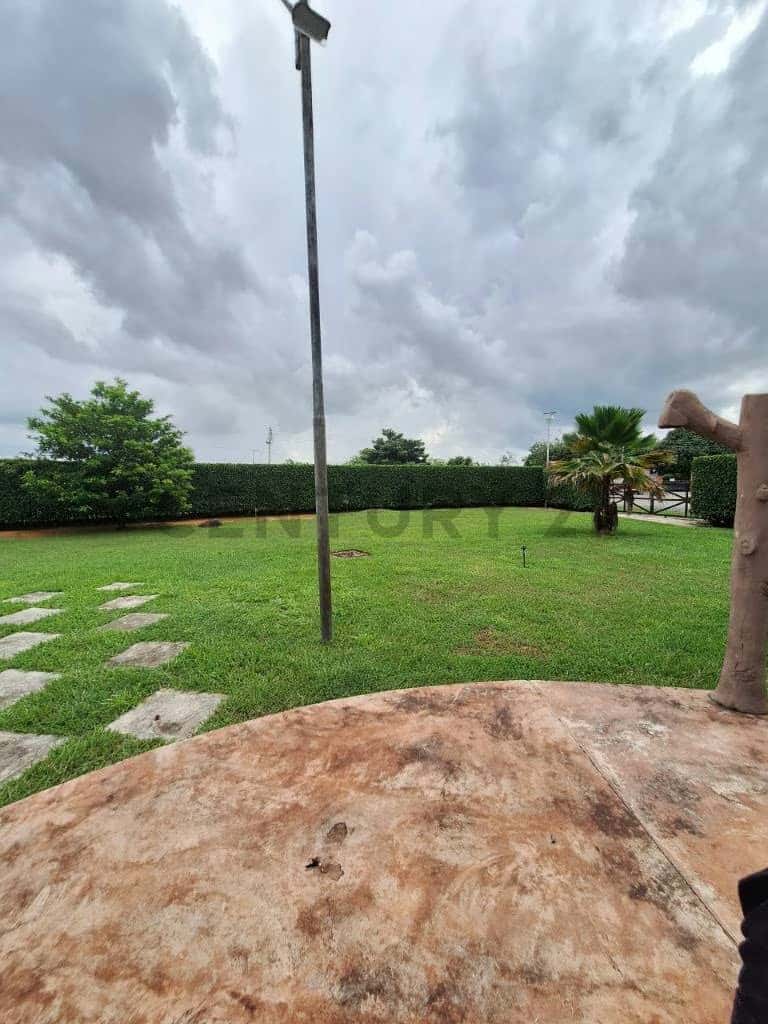 Vista 14