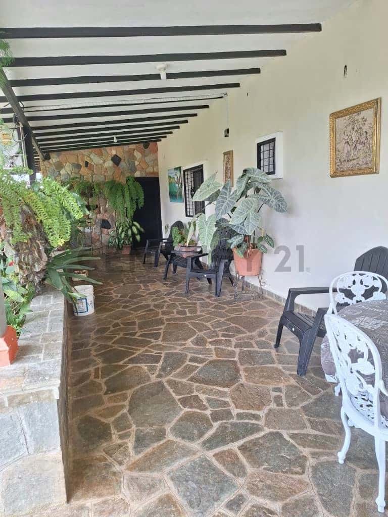 Vista 15