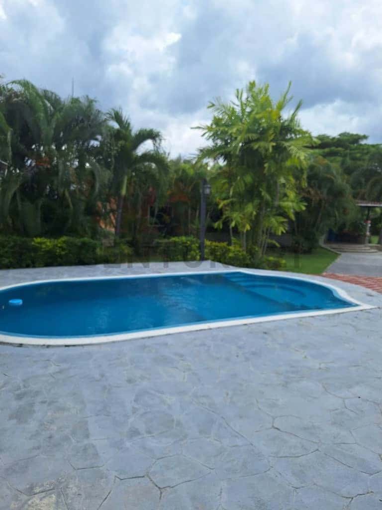Vista 16