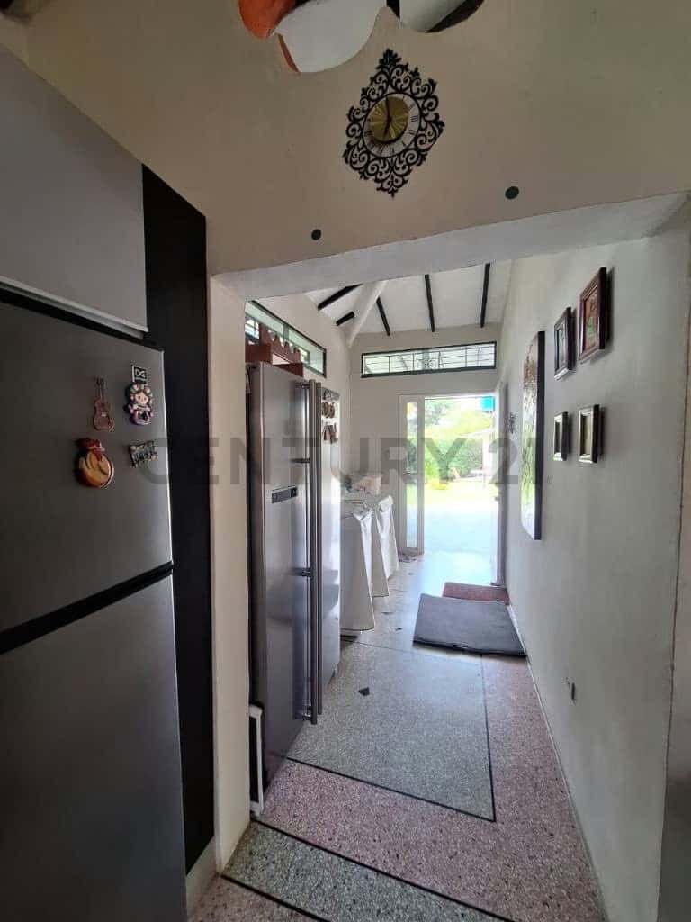Vista 19