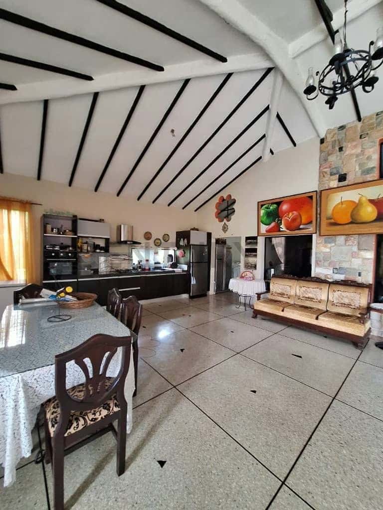 Vista 24