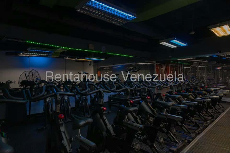 Vista 16
