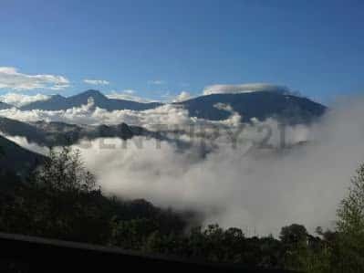 View 4