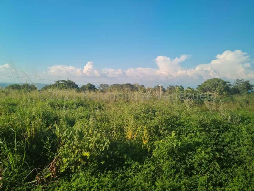 View 13