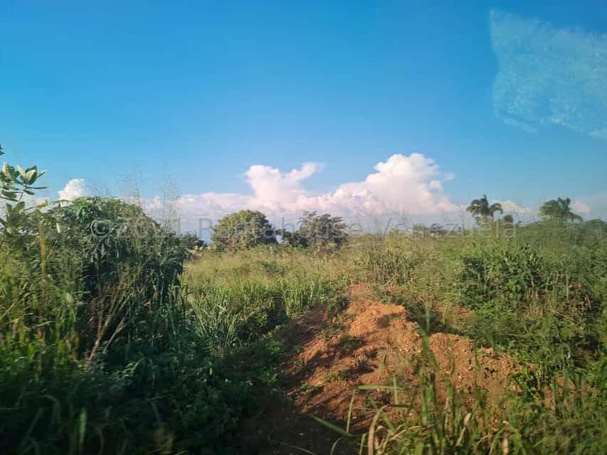View 14