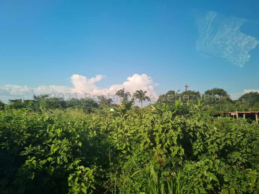 View 15