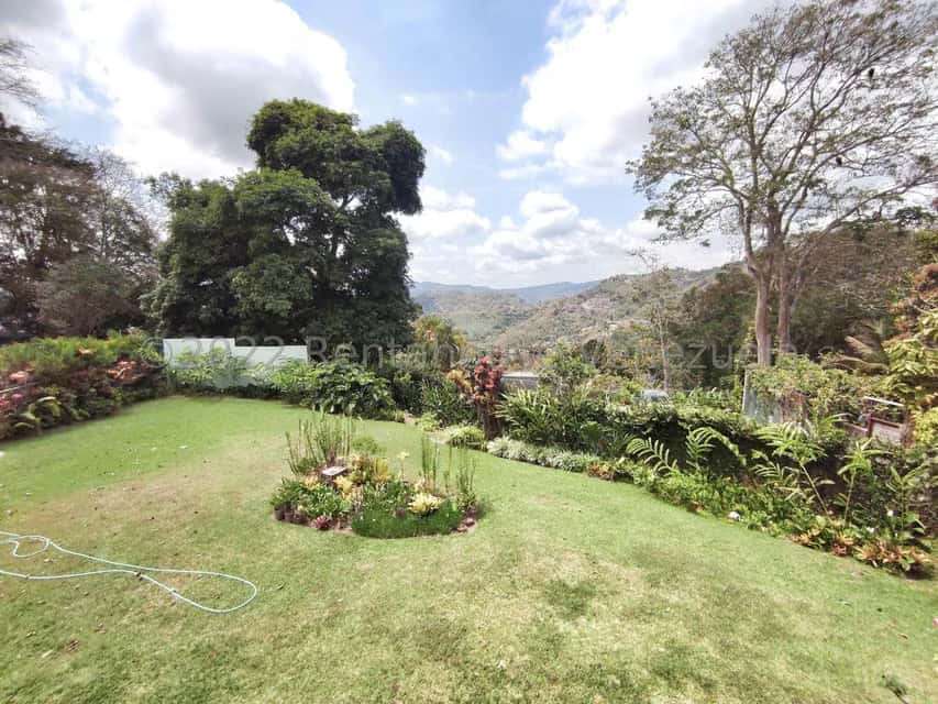 View 30