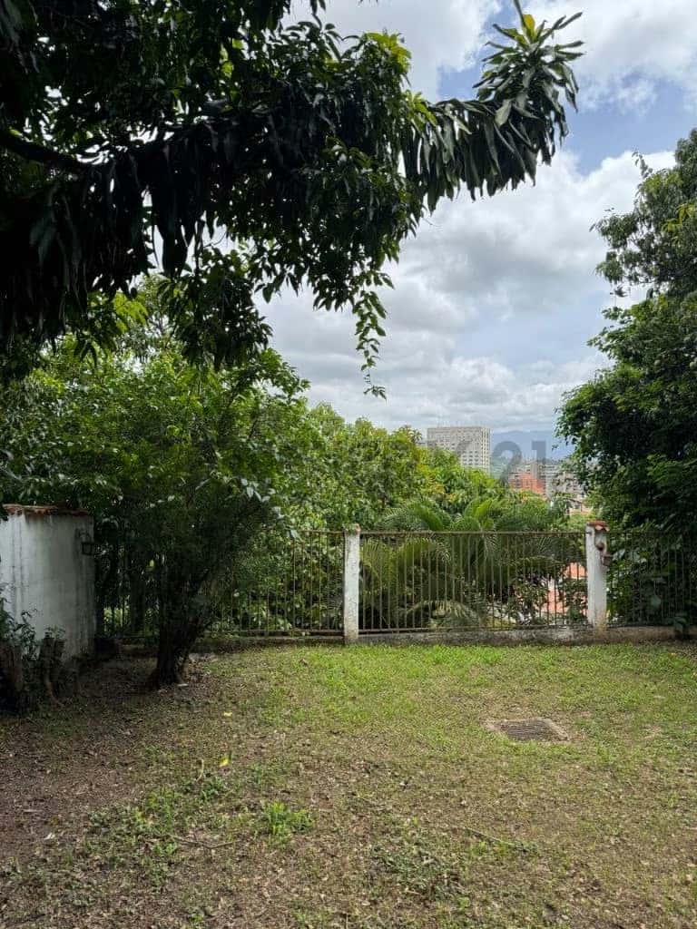 View 27