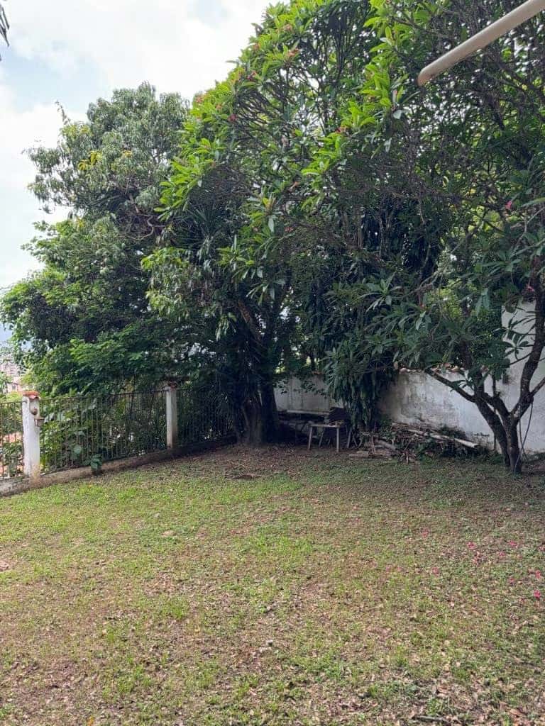 View 28