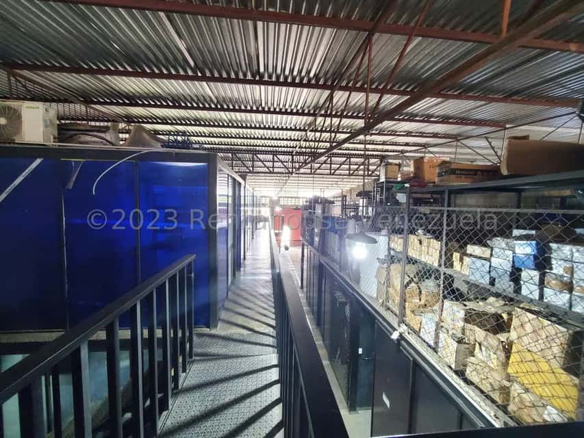 View 29