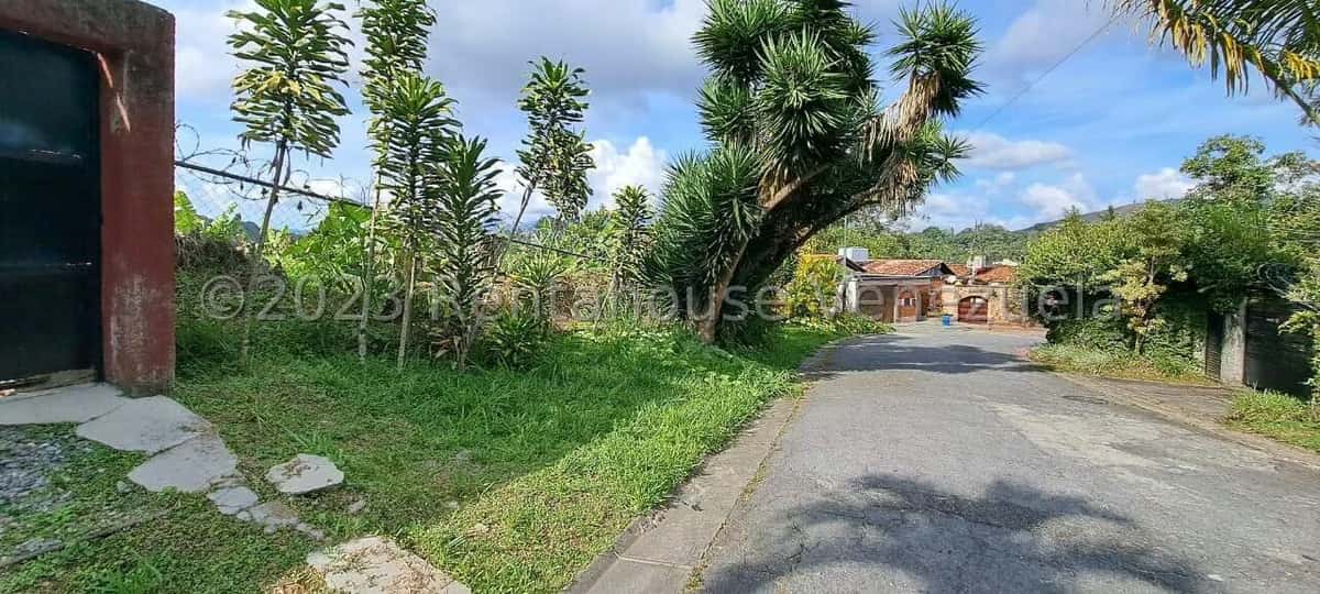 View 7