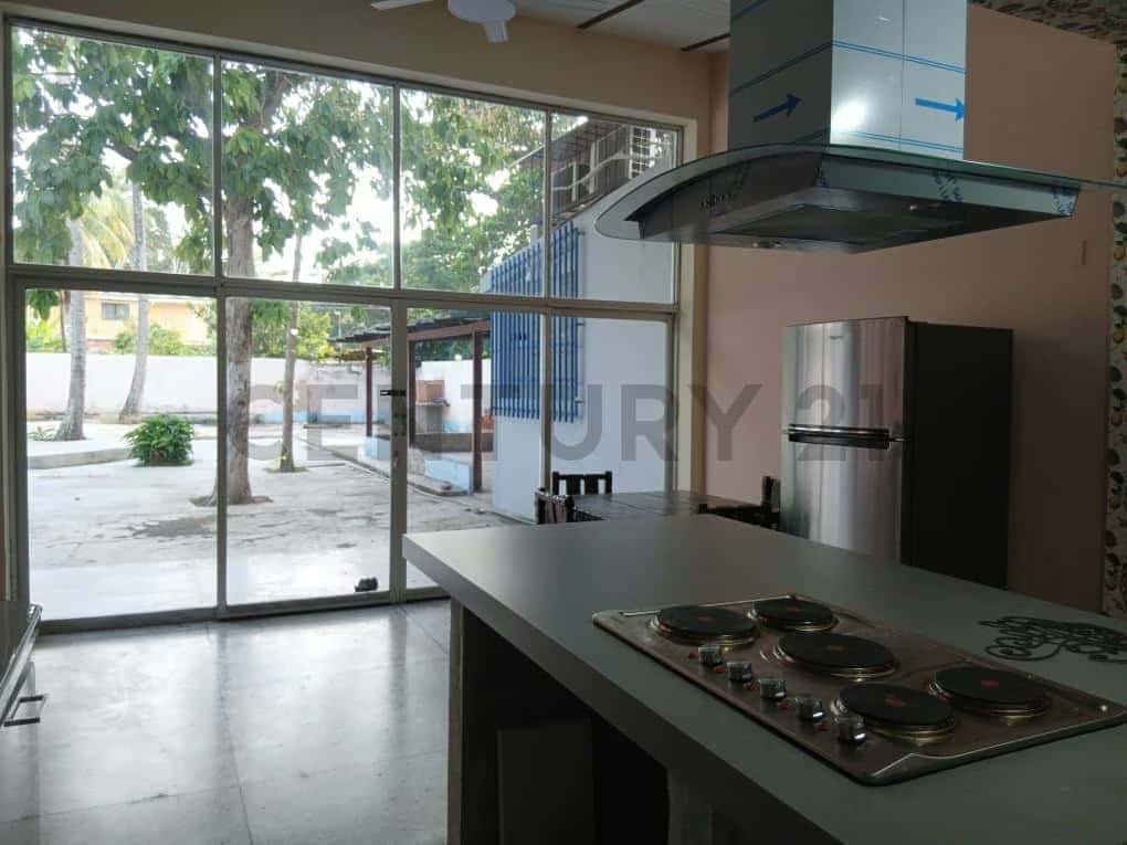 Vista 3