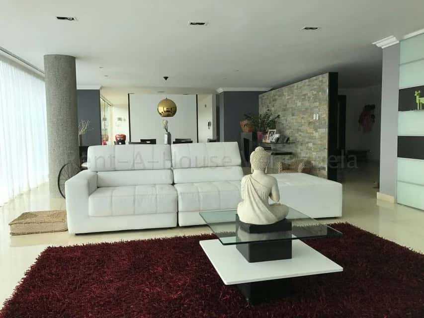 Vista 5