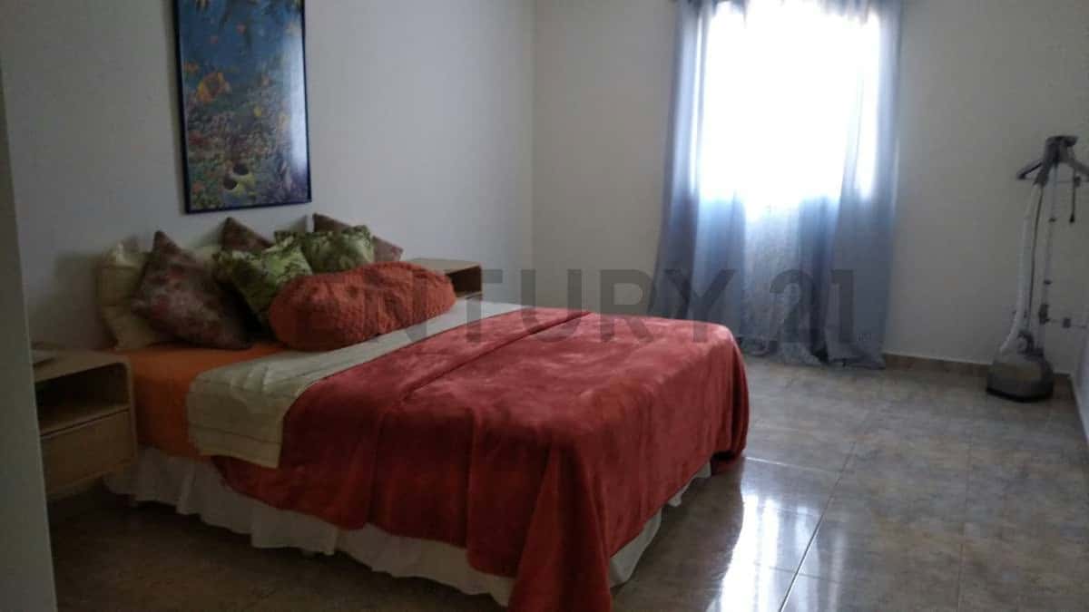 Vista 19