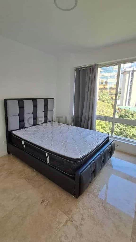 Vista 6