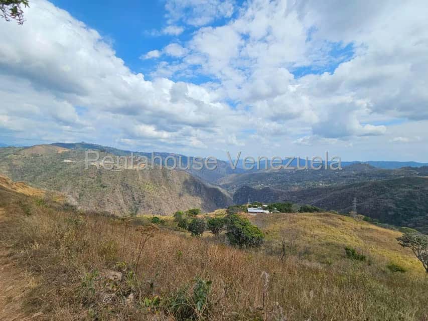View 13