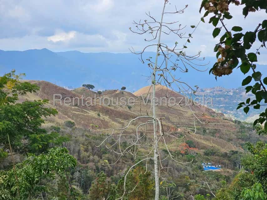 View 14
