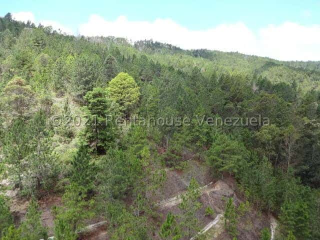 View 28