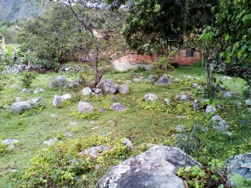 View 15