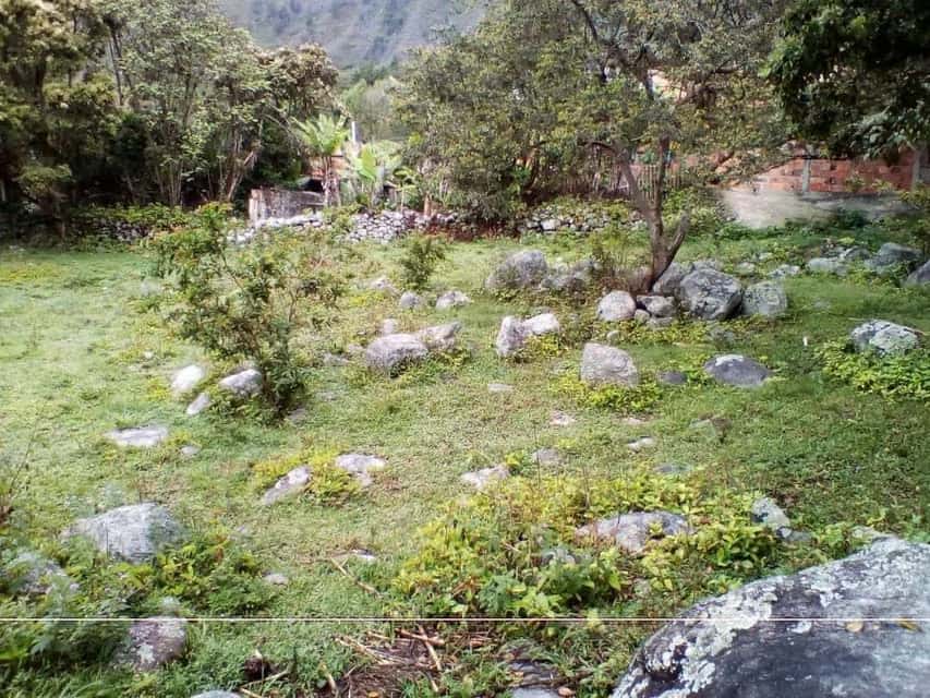 View 6