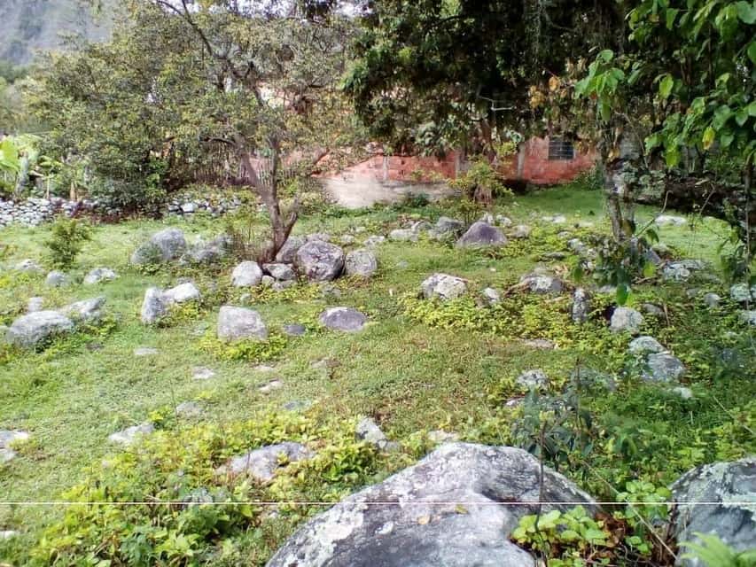 View 7