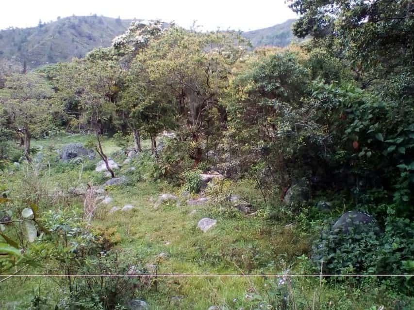 View 9