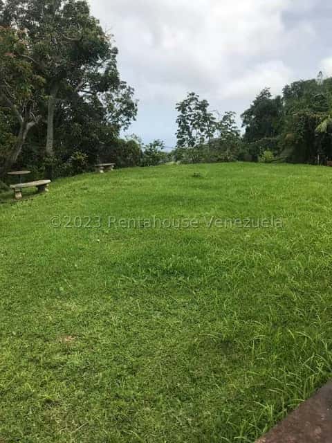 View 23