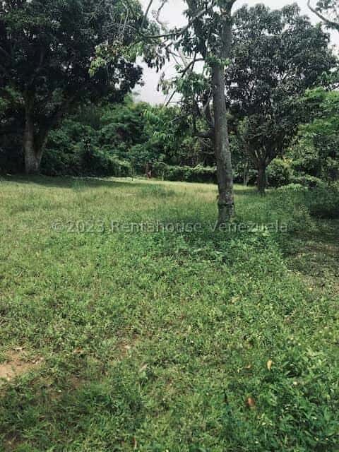 View 27