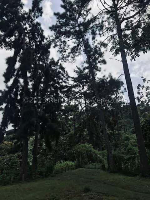 View 29