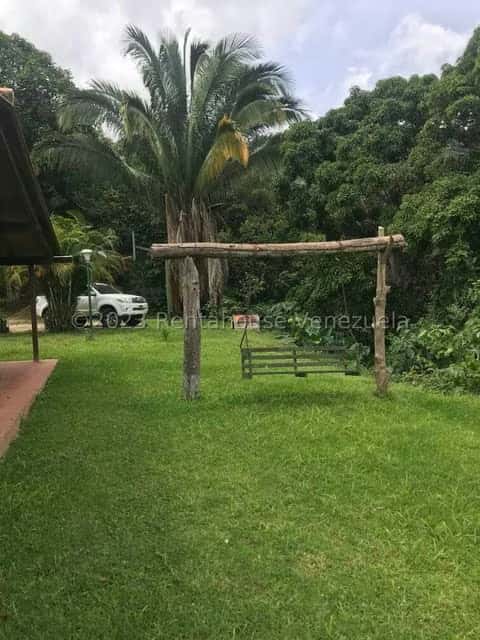 View 30