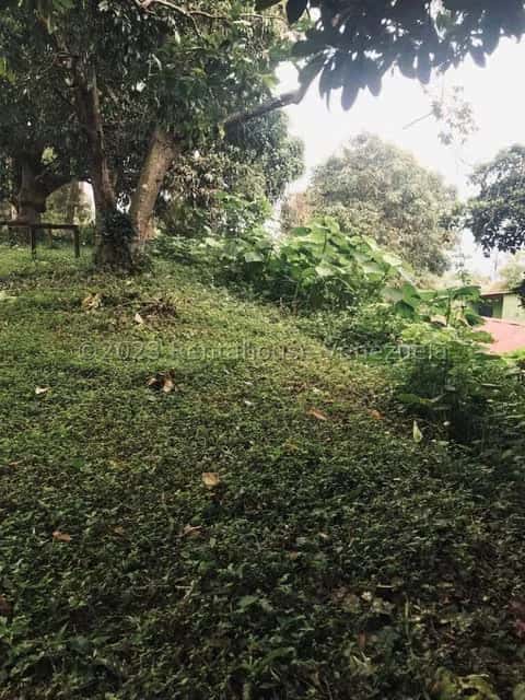 View 36
