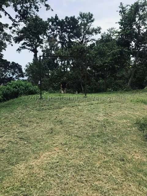 View 38