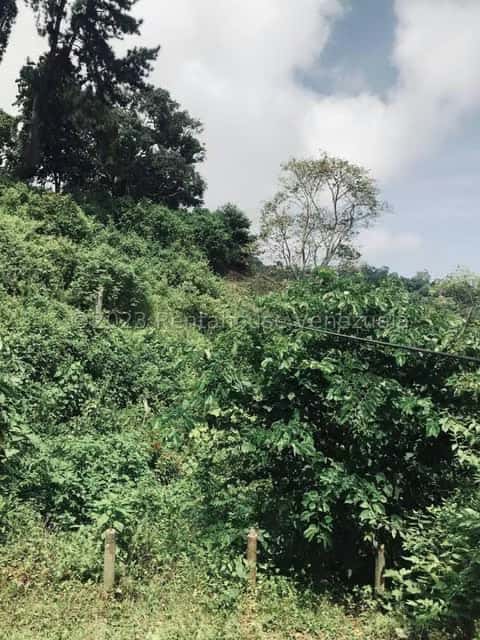 View 45