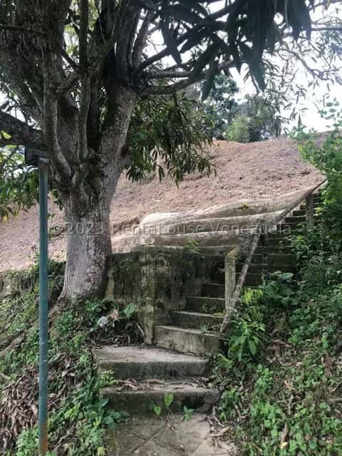 View 52