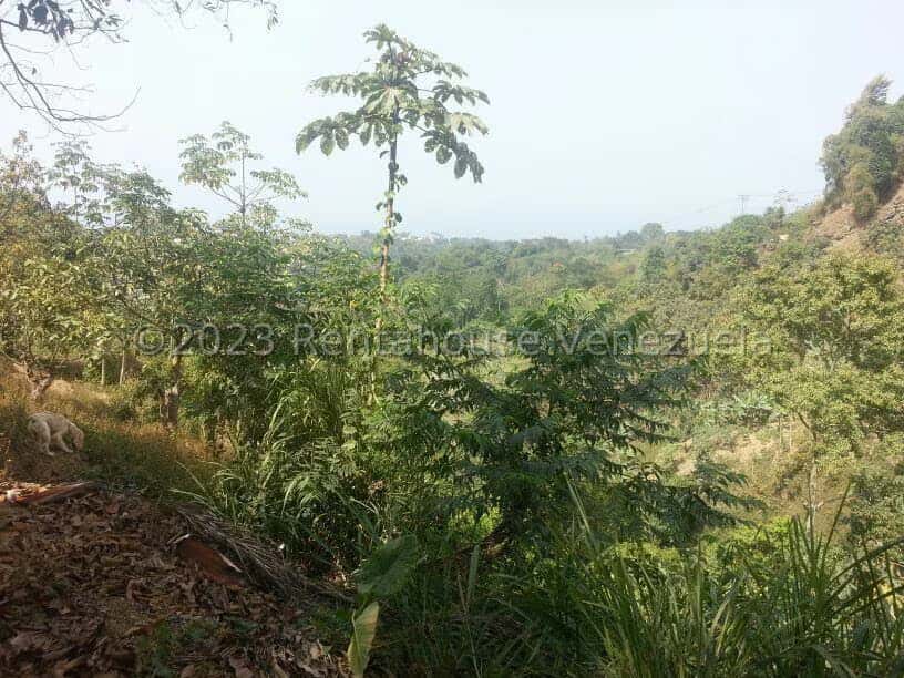 View 7