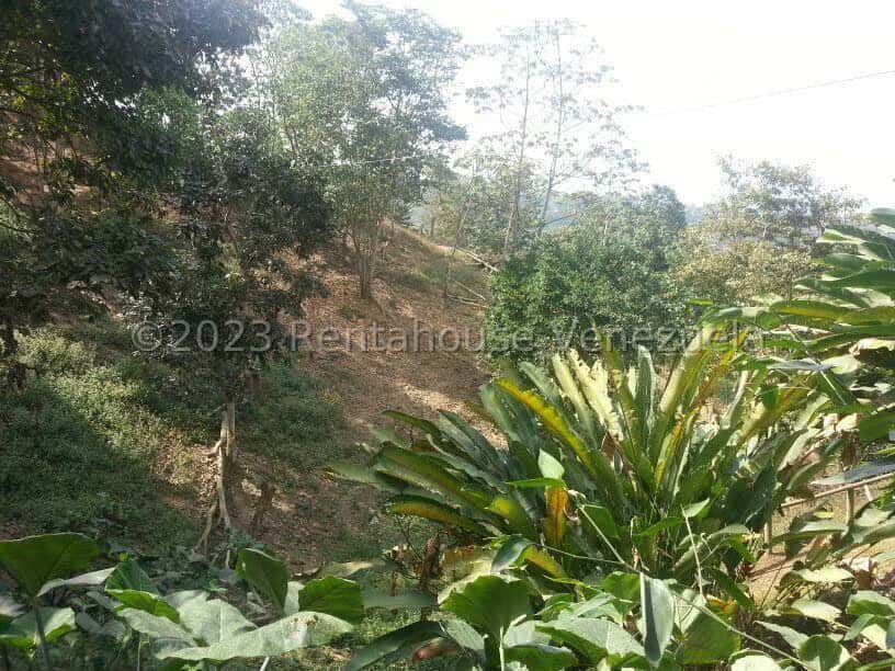 View 8