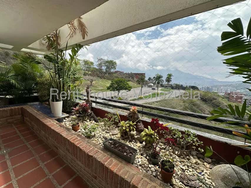 Vista 38