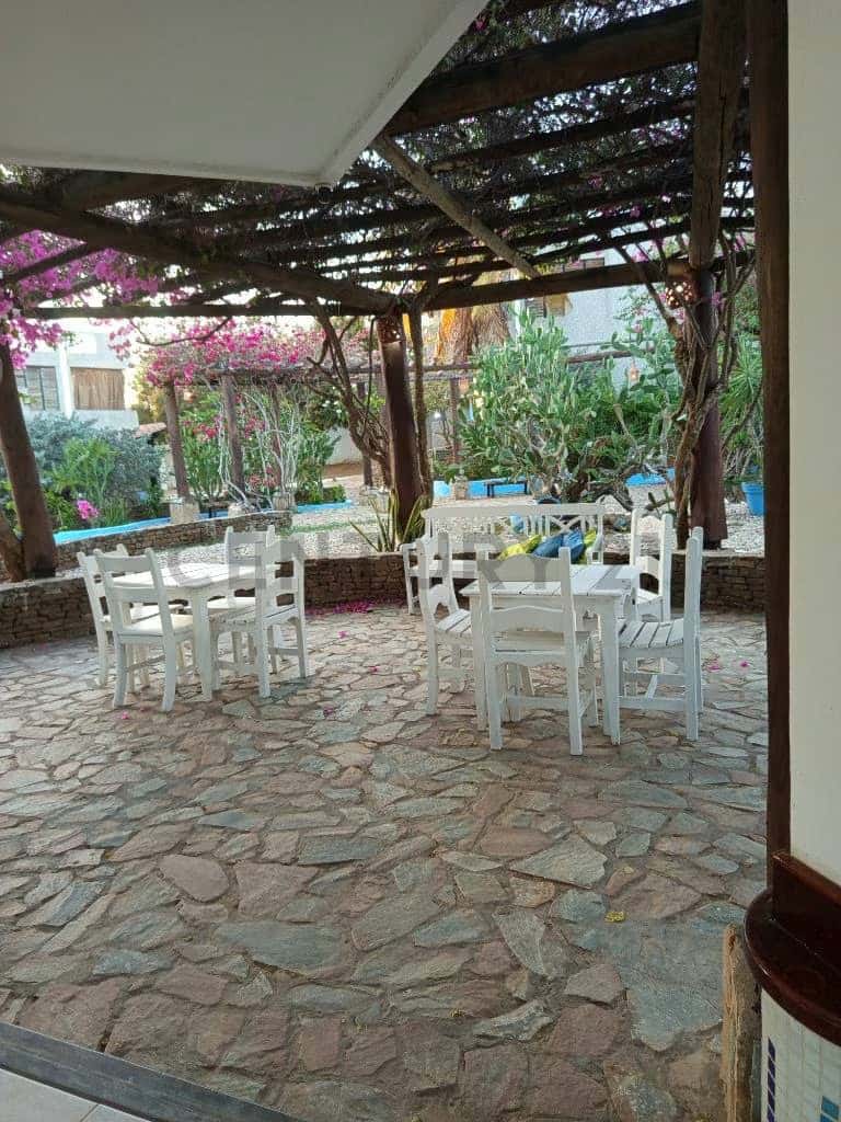View 23