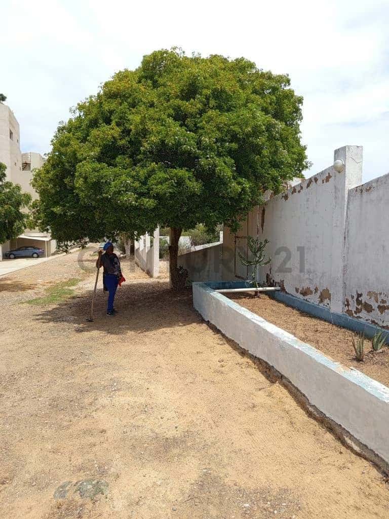 View 27