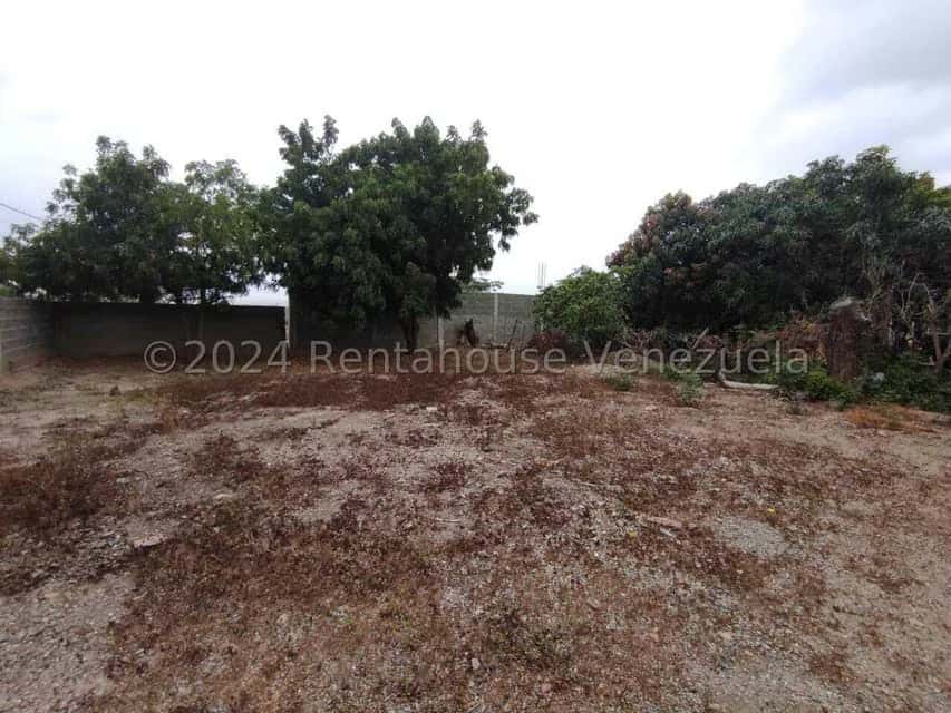 View 27